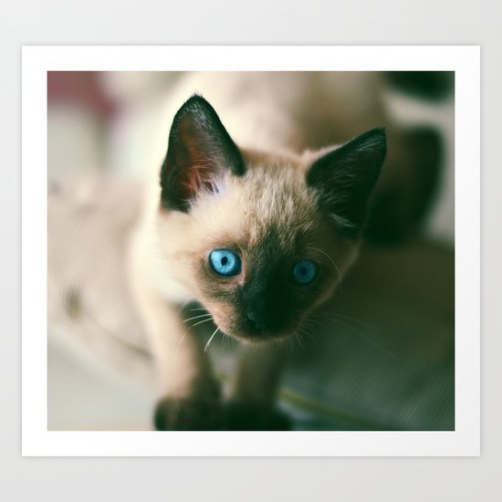 Melody Art Print
