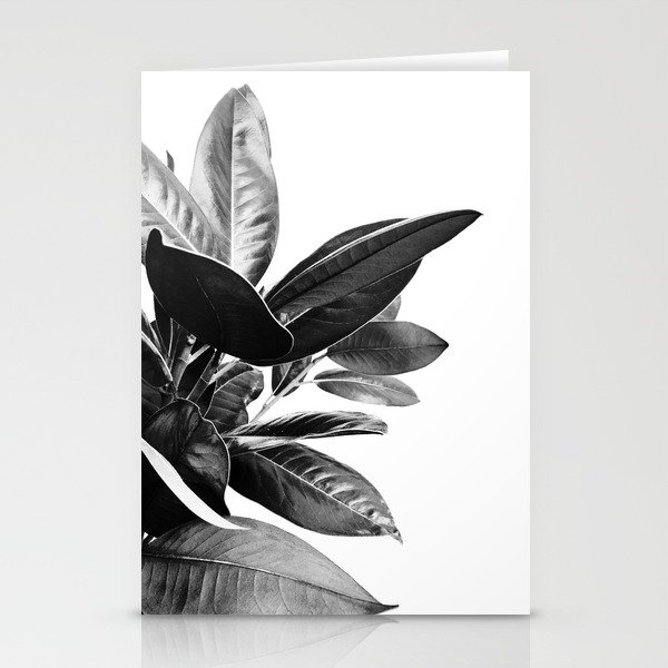 Grandiflora II - bw Stationery Cards