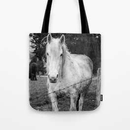 Gentle Horse Stare Down Tote Bag