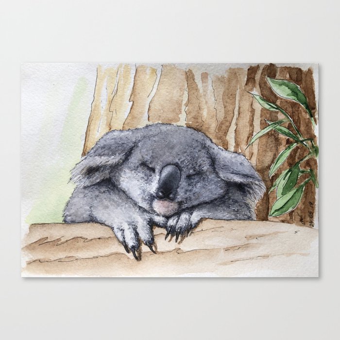 The Koala Canvas Print