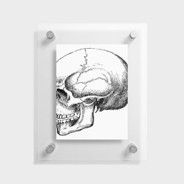 Skull Floating Acrylic Print