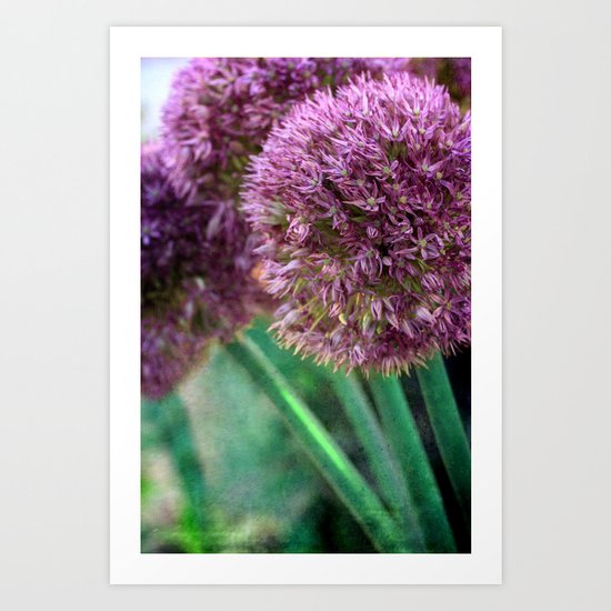 purple flowers Art Print