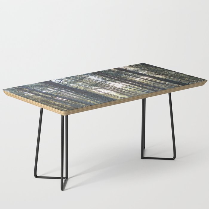 Winter Woodland Sun Coffee Table