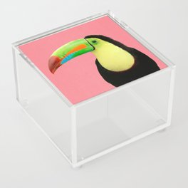 Toucan Bird - Pink Acrylic Box