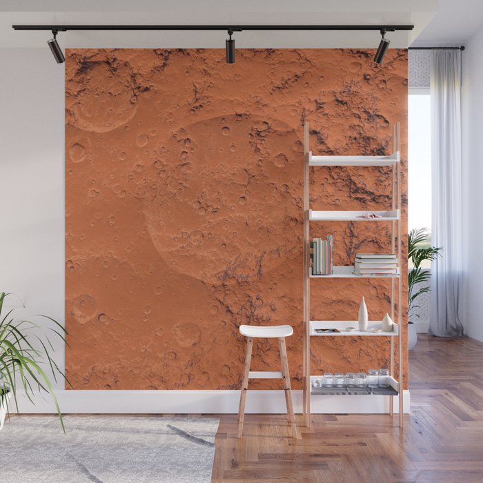 Mars surface Wall Mural