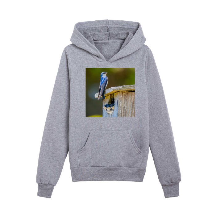 Swallow Family on a Box Nest - square image Kids Pullover Hoodie