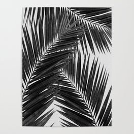 Palm Leaf Black & White III Poster