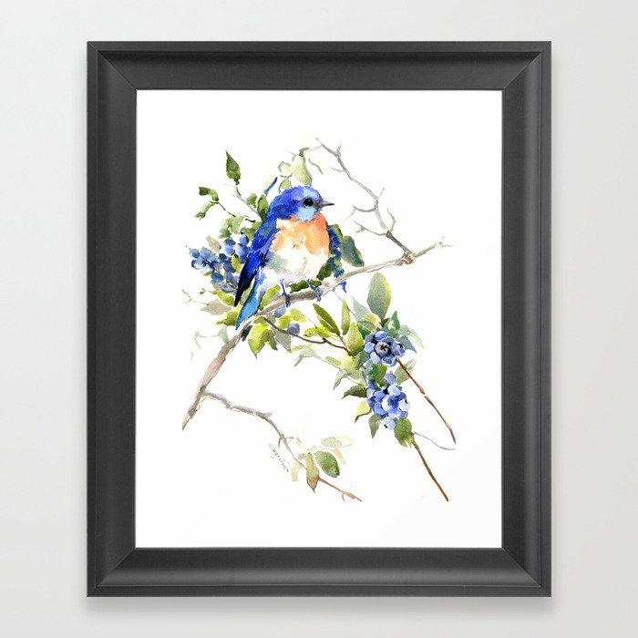 Bluebird and Blueberry Framed Art Print