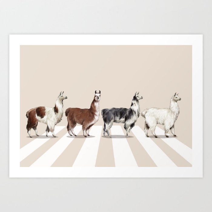 Llama The Abbey Road #2 Art Print