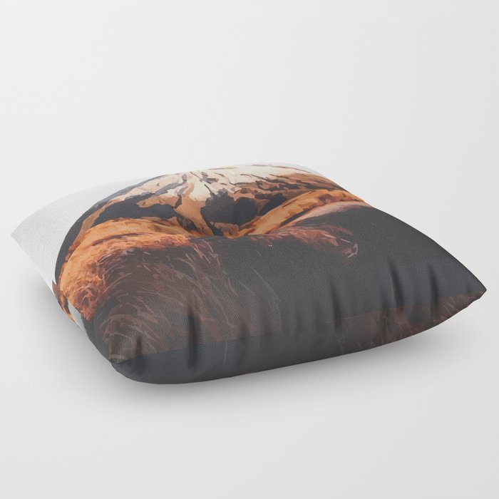 Mount Taranaki, New Zealand Travel Artwork Floor Pillow