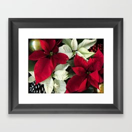 Red and White Christmas Poinsettias, Scanography Framed Art Print