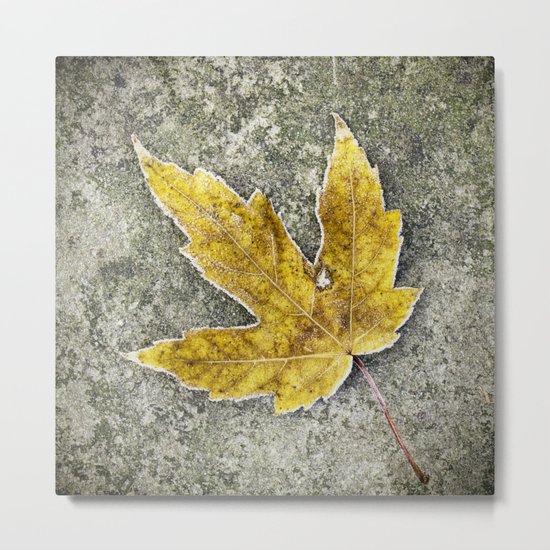 this leaf Metal Print