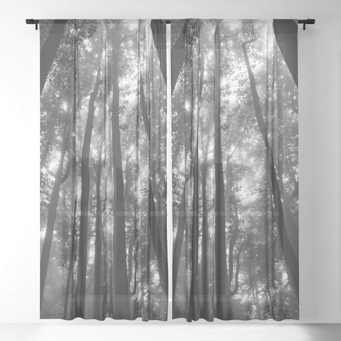 Sheer Curtain
