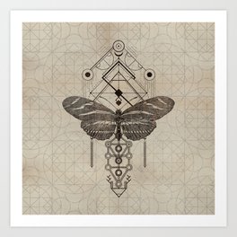 Sacred  Geometry  Zebra Longwing Butterfly Art Print