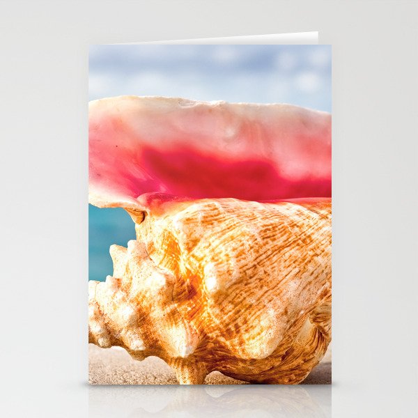 Summer Sea Shell Stationery Cards