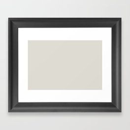 Pale Ashen Gray - Grey Solid Color Pairs PPG In The Cloud PPG0999-1 - All One Single Shade Colour Framed Art Print