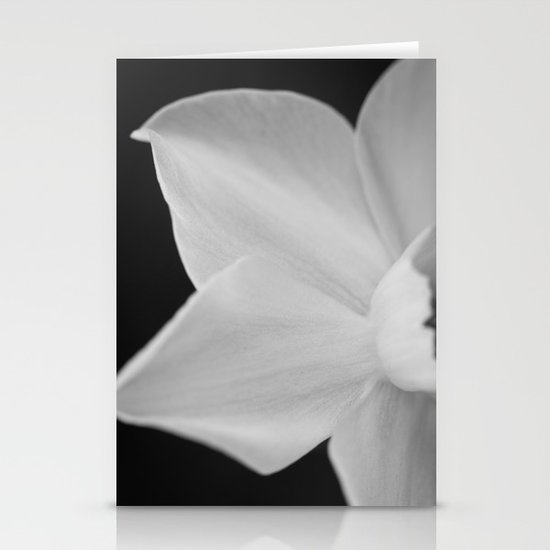 Unveiled Stationery Cards