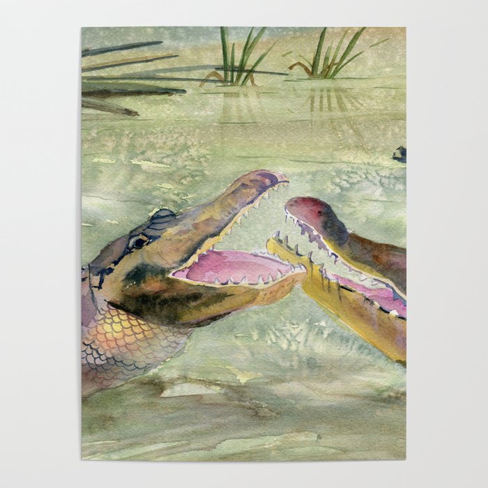 Alligator Study  Poster