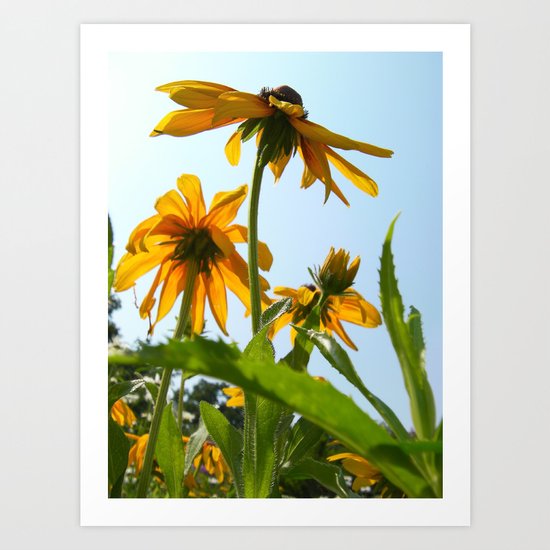 Summer Yellow Art Print