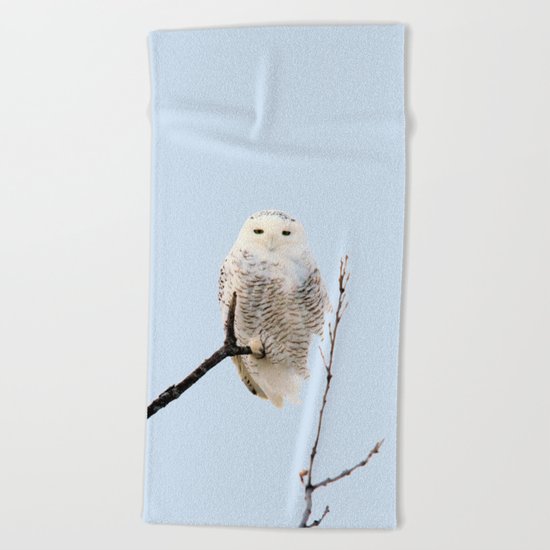 Snowy in the Wind (Snowy Owl) Beach Towel