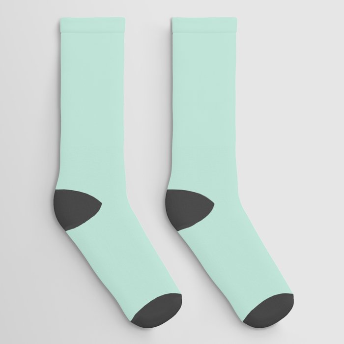 Light Aqua Green Solid Color Pantone Honeydew 12-5808 TCX Shades of Blue-green Hues Socks