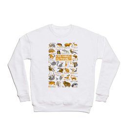 Odd Animal Alphabet Crewneck Sweatshirt