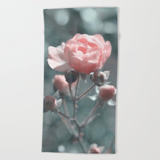 Romantic rose at Backlight- roses Beach Towel