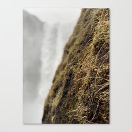 Water and Earth Canvas Print