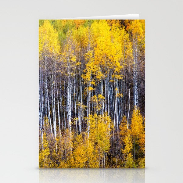 Autumn Aspens - Rows of Colorado Aspen Trees with Autumn Color in Reflection Illusion Stationery Cards