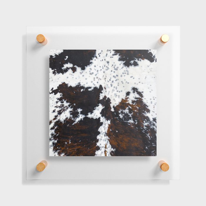 Spotty cow fur, cowhide style Floating Acrylic Print