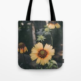 Blanketflowers Tote Bag