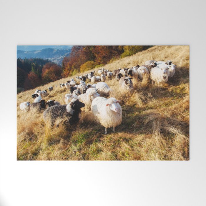 Flock Sheep 45 Welcome Mat