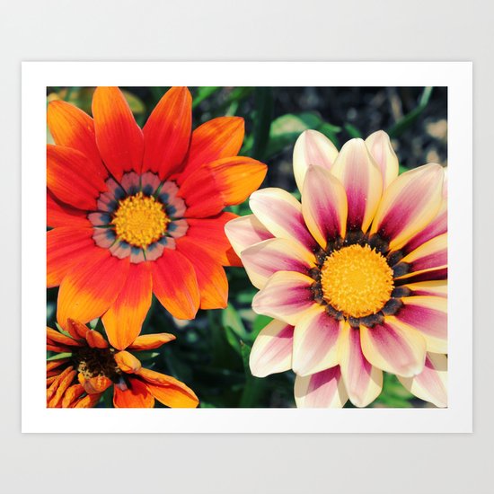 two are better! Art Print