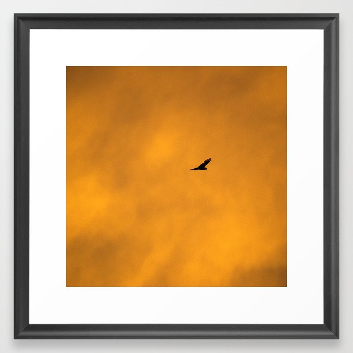 bird Framed Art Print