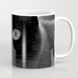 Siamese cat face, black and white animal photography Coffee Mug