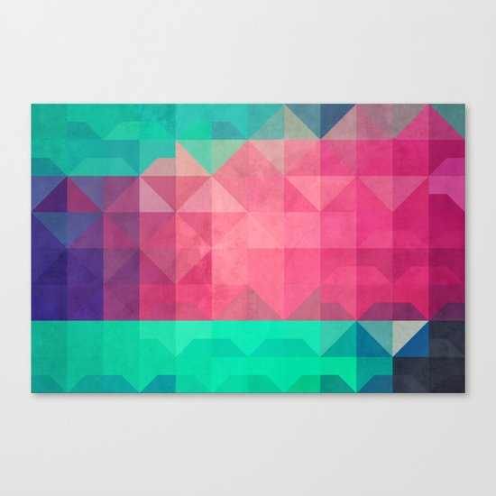 xonyx Canvas Print
