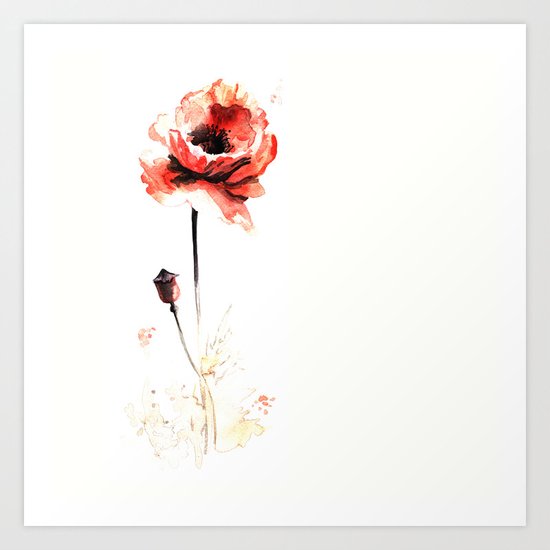 watercolor poppy Art Print