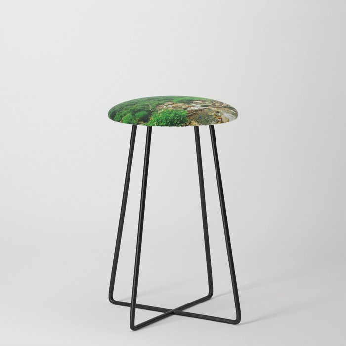 Clarity Counter Stool