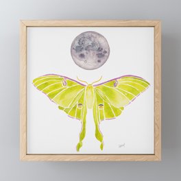 Luna Moth Moon Framed Mini Art Print