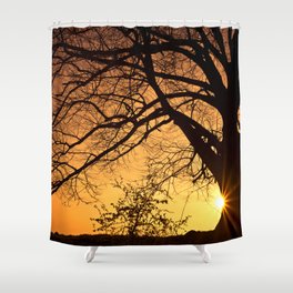 Silhouette of a willow tree with the sun behind the tree Shower Curtain