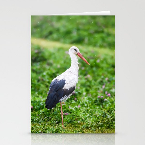 White stork Stationery Cards