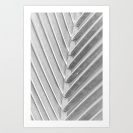 Fine art palm tree leaf close-up detail | photo print Art Print