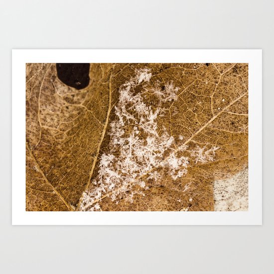 sprinkled Art Print