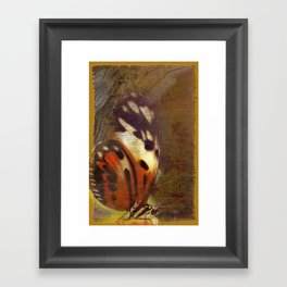 Butterfly  Framed Art Print