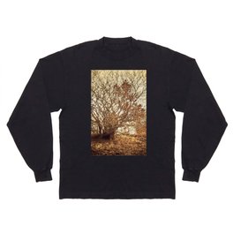 Gethsemane Garden under fiery sky Long Sleeve T-shirt