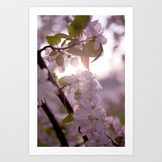 Sunlit peak Art Print