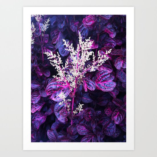 Vibrant Florals Art Print