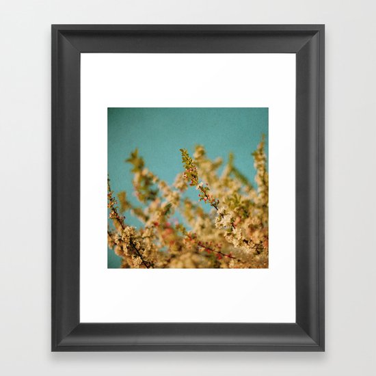 Darling Buds of May Framed Art Print