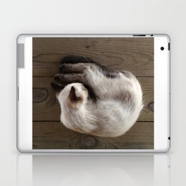 homestead kitten Laptop & iPad Skin