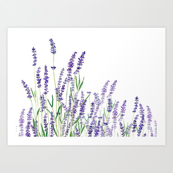 lavender watercolor horizontal Art Print